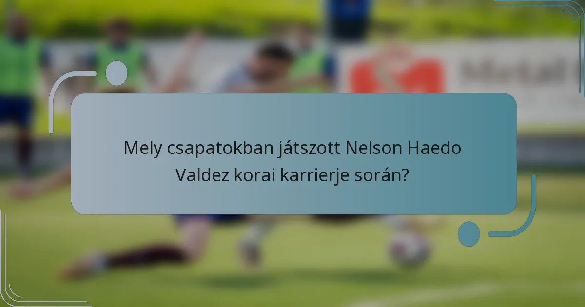 Mely csapatokban játszott Nelson Haedo Valdez korai karrierje során?