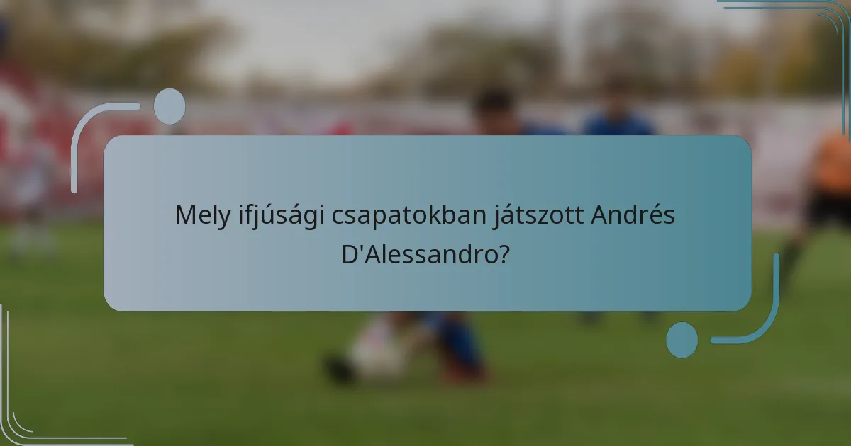 Mely ifjúsági csapatokban játszott Andrés D'Alessandro?