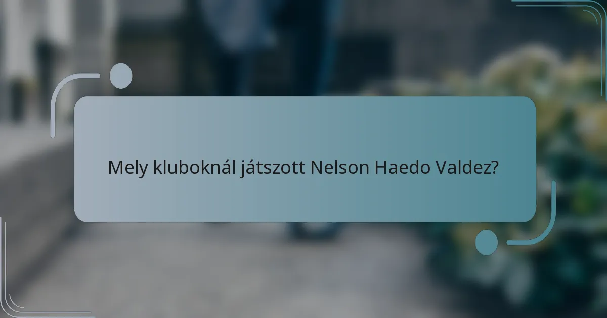 Mely kluboknál játszott Nelson Haedo Valdez?