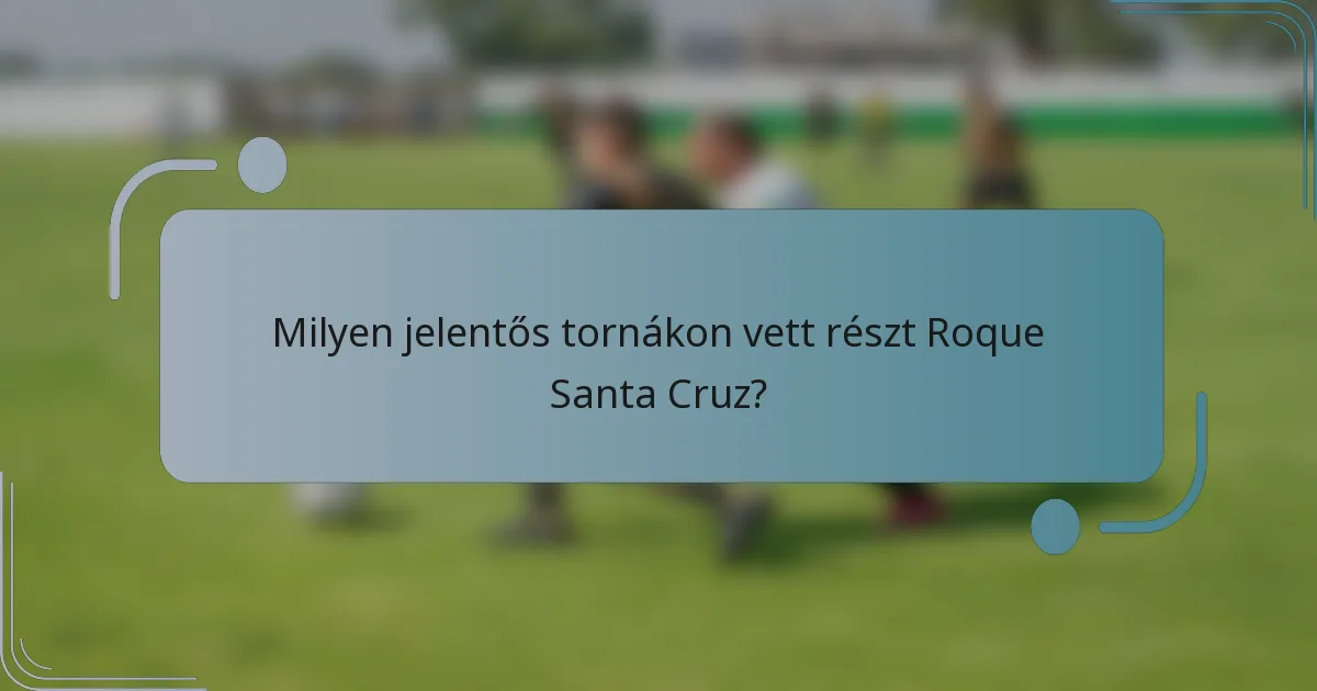 Milyen jelentős tornákon vett részt Roque Santa Cruz?