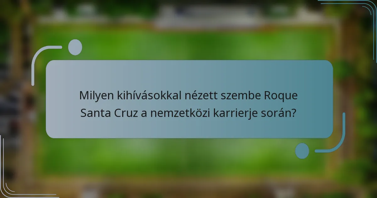 Milyen kihívásokkal nézett szembe Roque Santa Cruz a nemzetközi karrierje során?